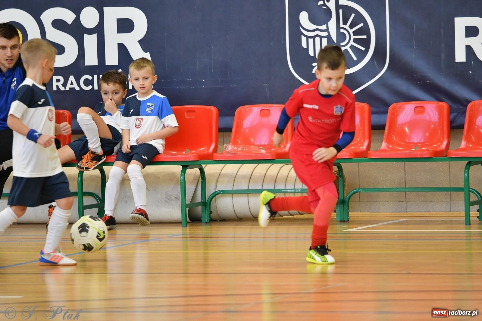 Zdjęcie w galerii na portalu naszraciborz.pl: Dwa turniejowe dni w Arenie Rafako [FOTO] wiadomości z regionu