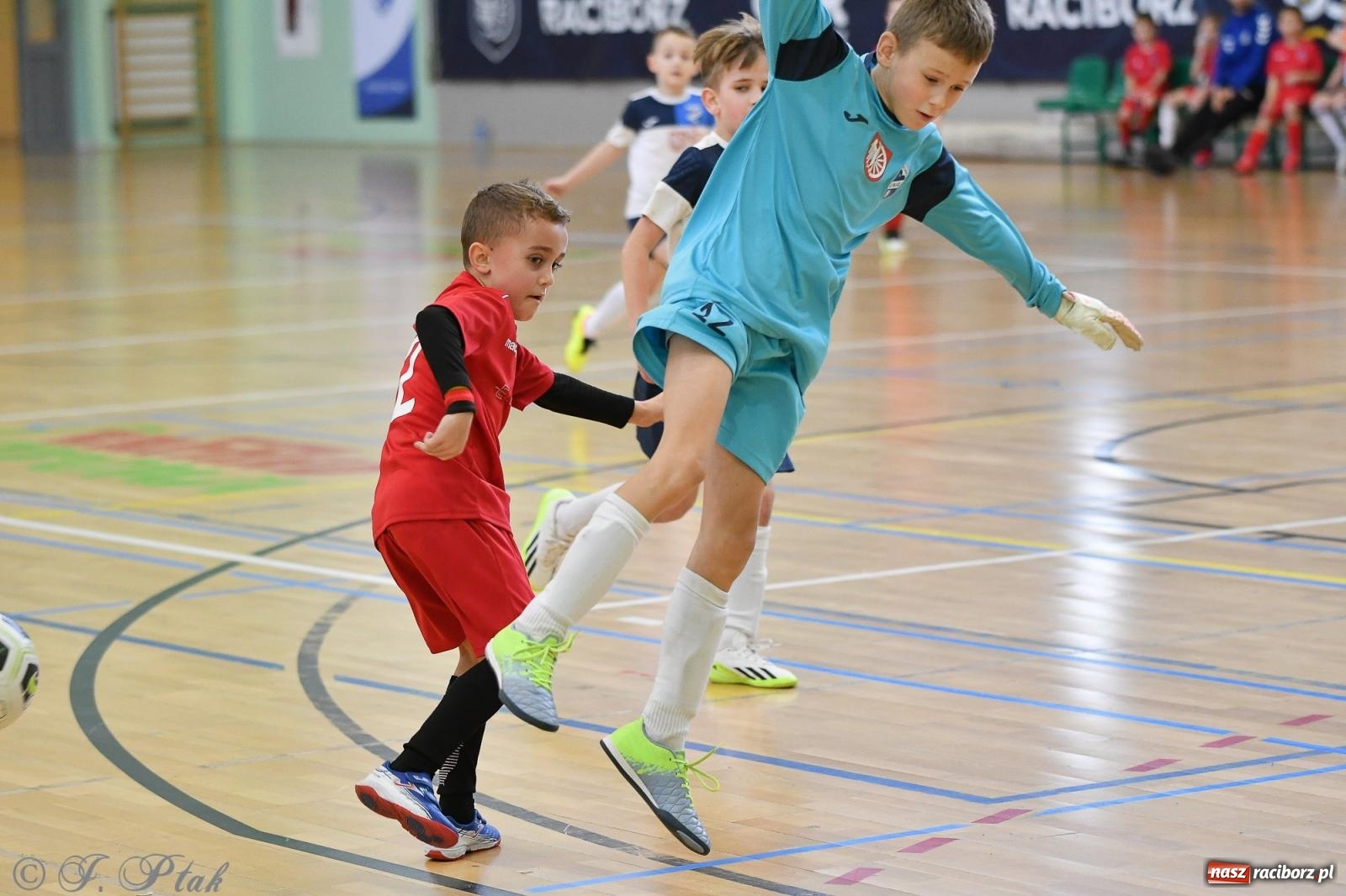 Zdjęcie w galerii na portalu naszraciborz.pl: Dwa turniejowe dni w Arenie Rafako [FOTO] wiadomości z regionu