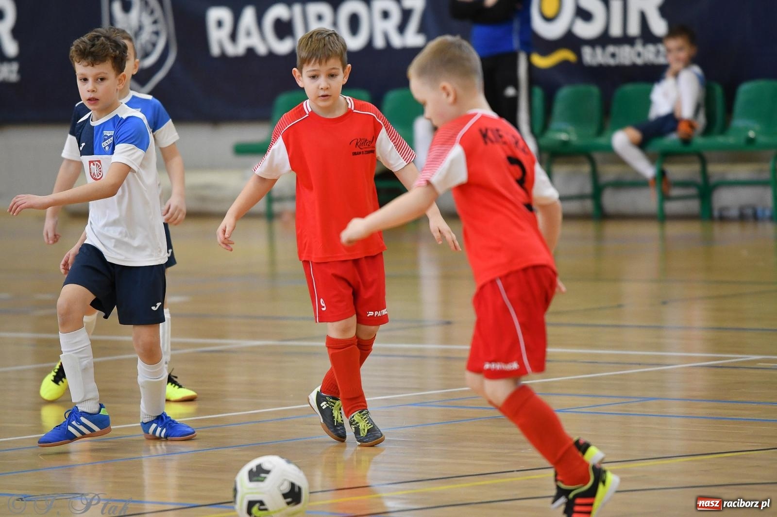 Zdjęcie w galerii na portalu naszraciborz.pl: Dwa turniejowe dni w Arenie Rafako [FOTO] wiadomości z regionu