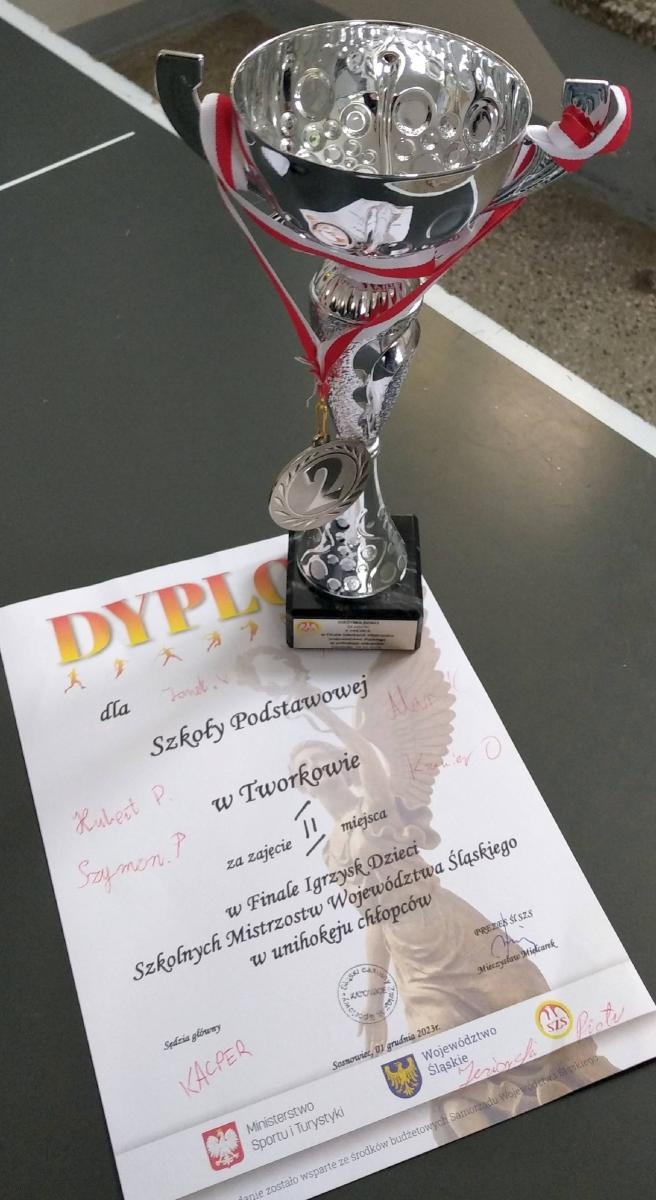 Zdjęcie w galerii na portalu naszraciborz.pl: Finał Wojewódzki Igrzysk Dzieci w Unihokeju chłopców. Srebro dla Tworkowa wiadomości z regionu