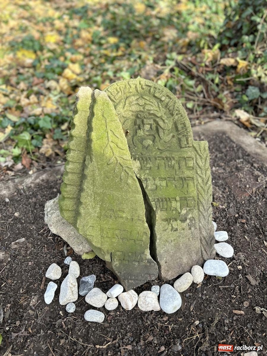 Zdjęcie w galerii na portalu naszraciborz.pl: Ceremonia z oficjalną prezentacją tablicy upamiętniającej cmentarz żydowski przy ulicy Głubczyckiej wiadomości z regionu