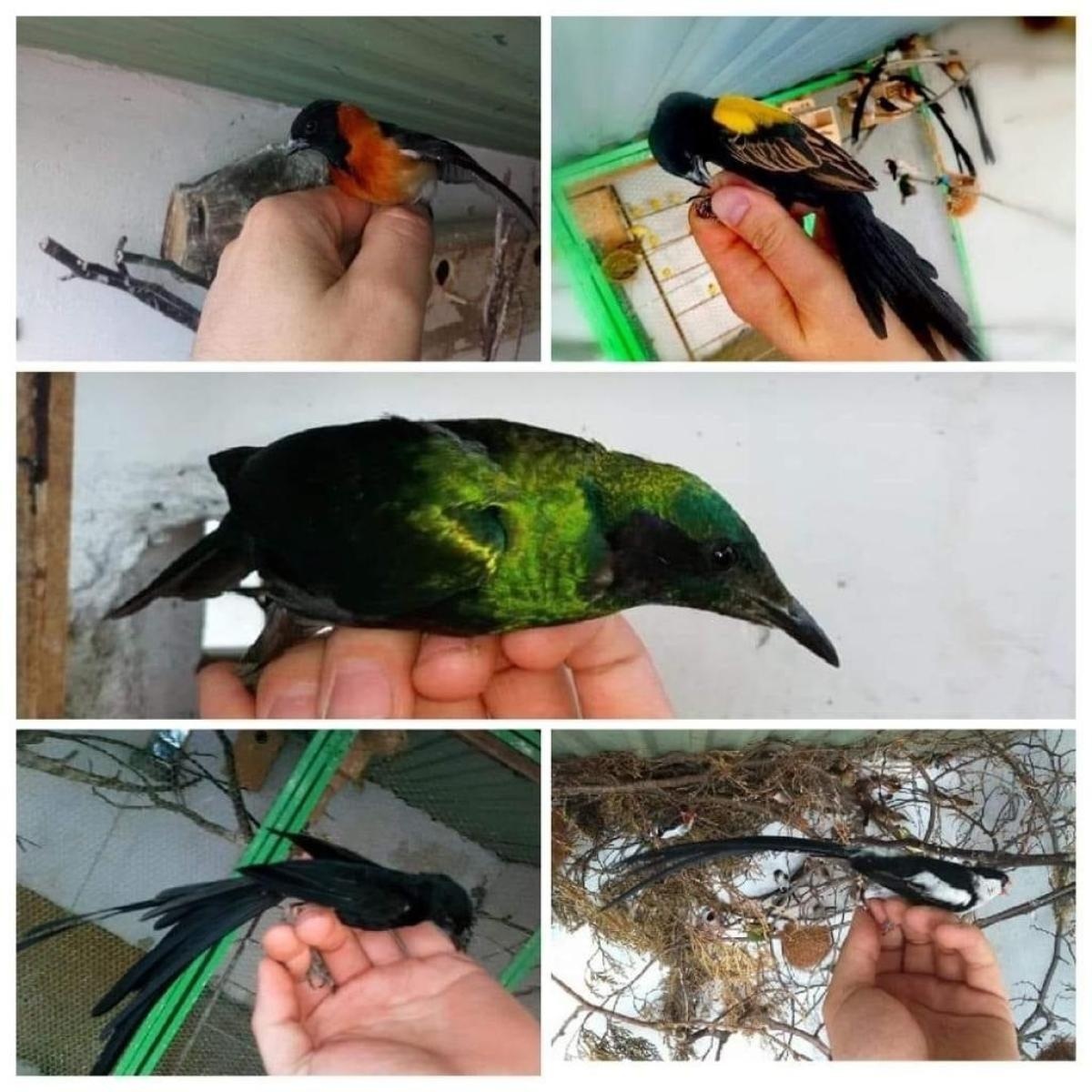 Zdjęcie w galerii na portalu naszraciborz.pl: LemON znalazł w Raciborzu małych bohaterów swoich teledysków wiadomości z regionu