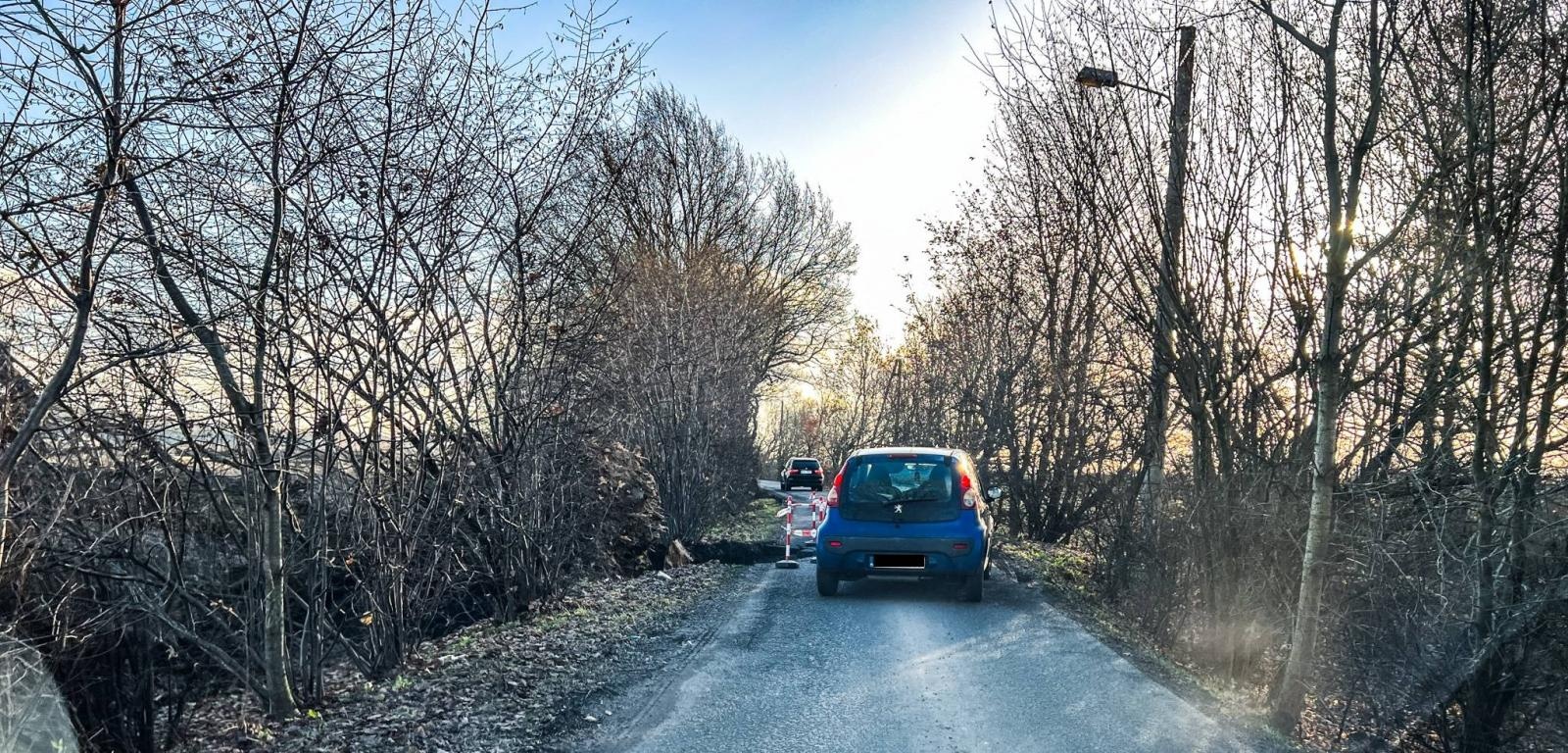 Zdjęcie w galerii na portalu naszraciborz.pl: Grobla uszkodzona przez powalone drzewo. Co dalej z Rybnicką przed mostem na Uldze? wiadomości z regionu