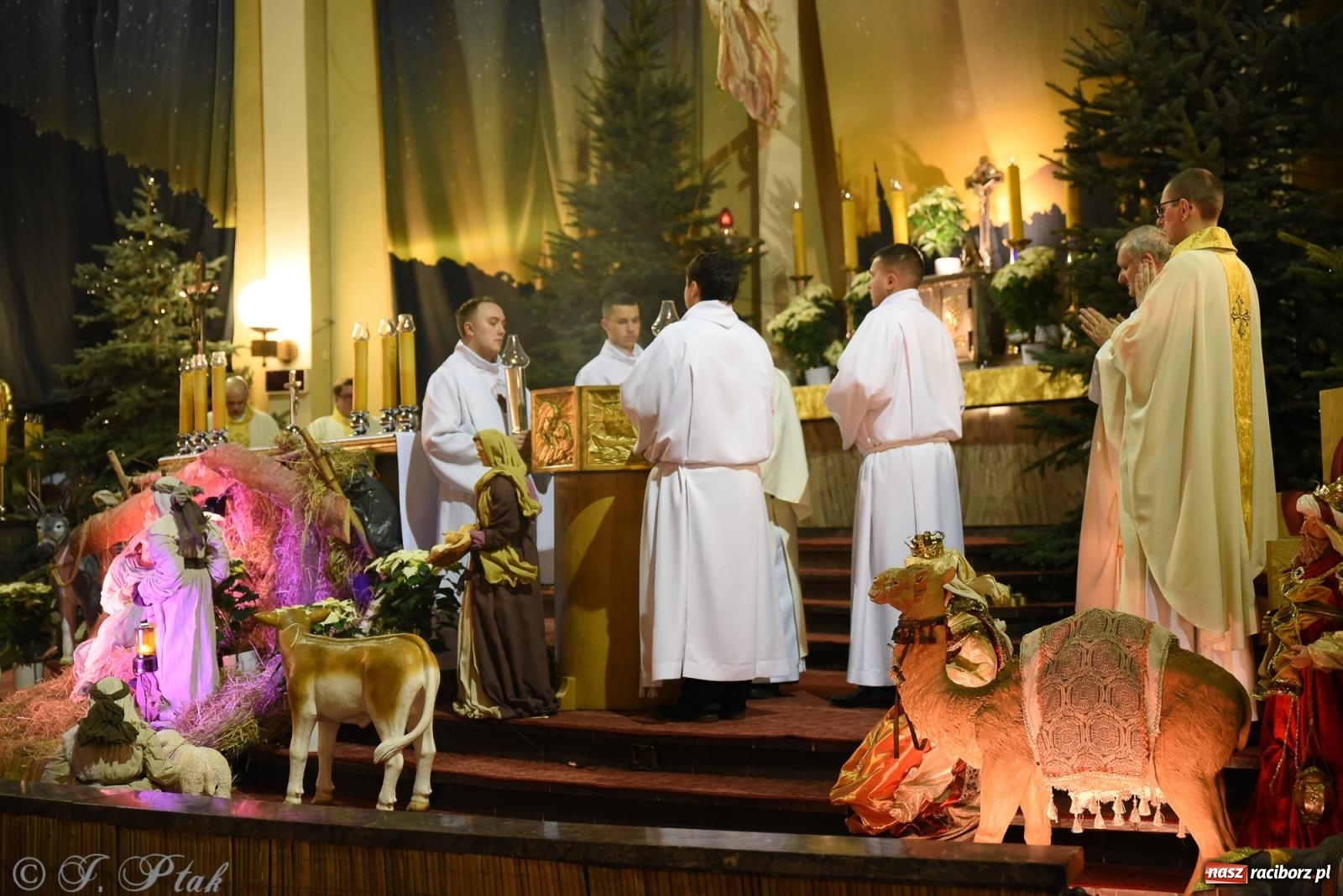 Zdjęcie w galerii na portalu naszraciborz.pl: Zaprośmy na nowo Jezusa w swoje życie. Zdjęcia raciborskich szopek wiadomości z regionu