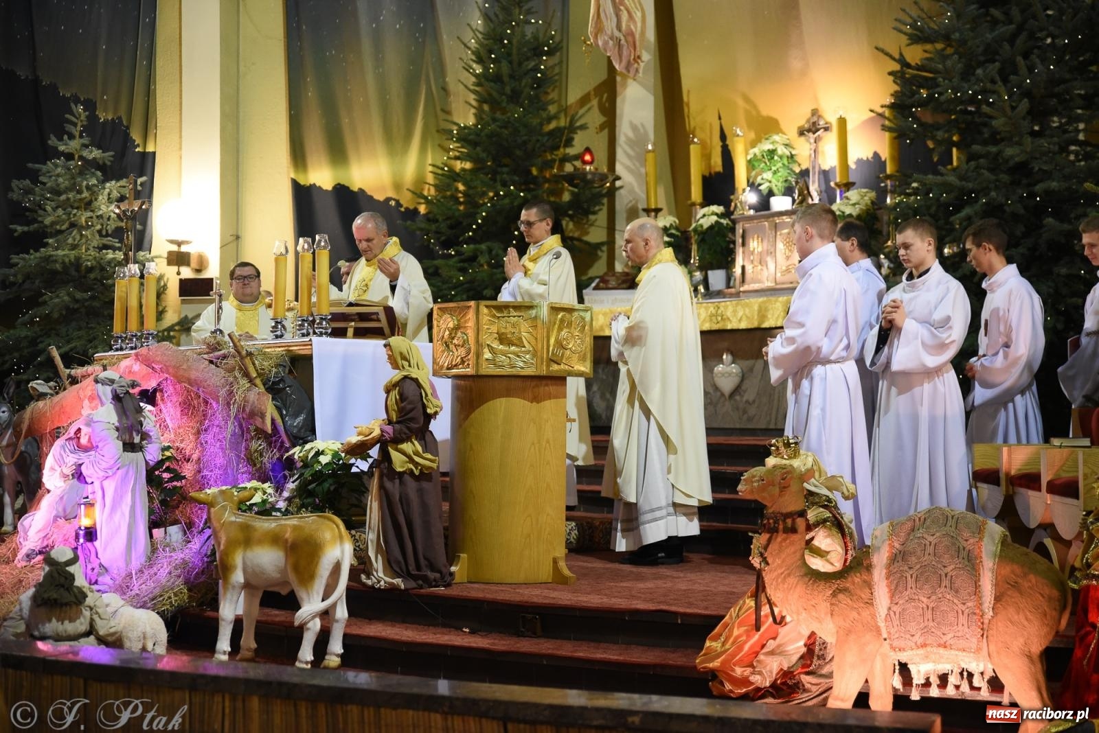 Zdjęcie w galerii na portalu naszraciborz.pl: Zaprośmy na nowo Jezusa w swoje życie. Zdjęcia raciborskich szopek wiadomości z regionu