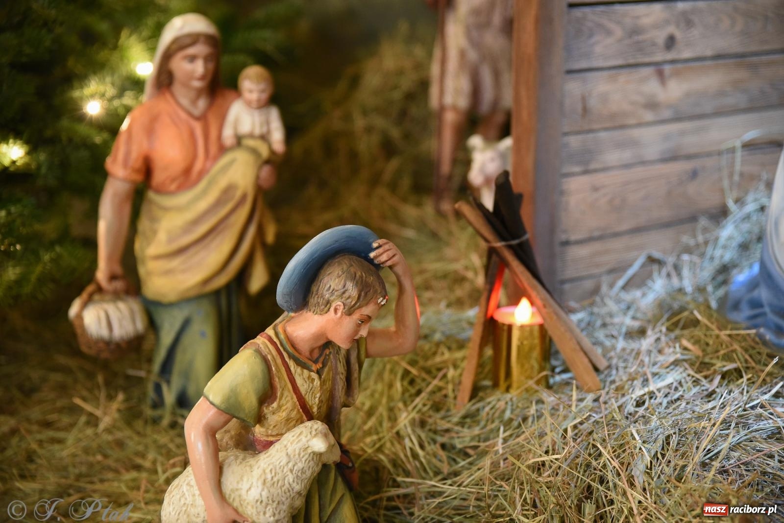 Zdjęcie w galerii na portalu naszraciborz.pl: Zaprośmy na nowo Jezusa w swoje życie. Zdjęcia raciborskich szopek wiadomości z regionu