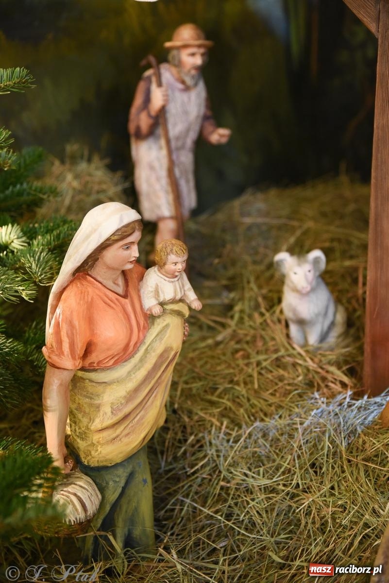 Zdjęcie w galerii na portalu naszraciborz.pl: Zaprośmy na nowo Jezusa w swoje życie. Zdjęcia raciborskich szopek wiadomości z regionu