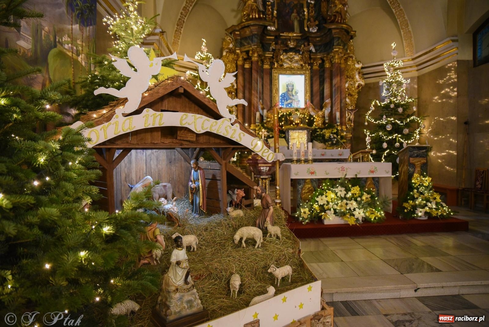 Zdjęcie w galerii na portalu naszraciborz.pl: Zaprośmy na nowo Jezusa w swoje życie. Zdjęcia raciborskich szopek wiadomości z regionu