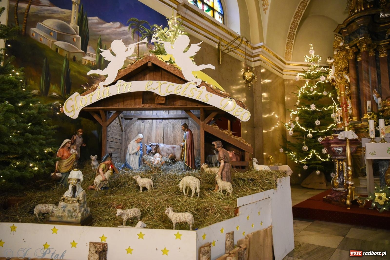 Zdjęcie w galerii na portalu naszraciborz.pl: Zaprośmy na nowo Jezusa w swoje życie. Zdjęcia raciborskich szopek wiadomości z regionu
