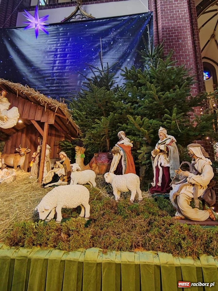 Zdjęcie w galerii na portalu naszraciborz.pl: Zaprośmy na nowo Jezusa w swoje życie. Zdjęcia raciborskich szopek wiadomości z regionu