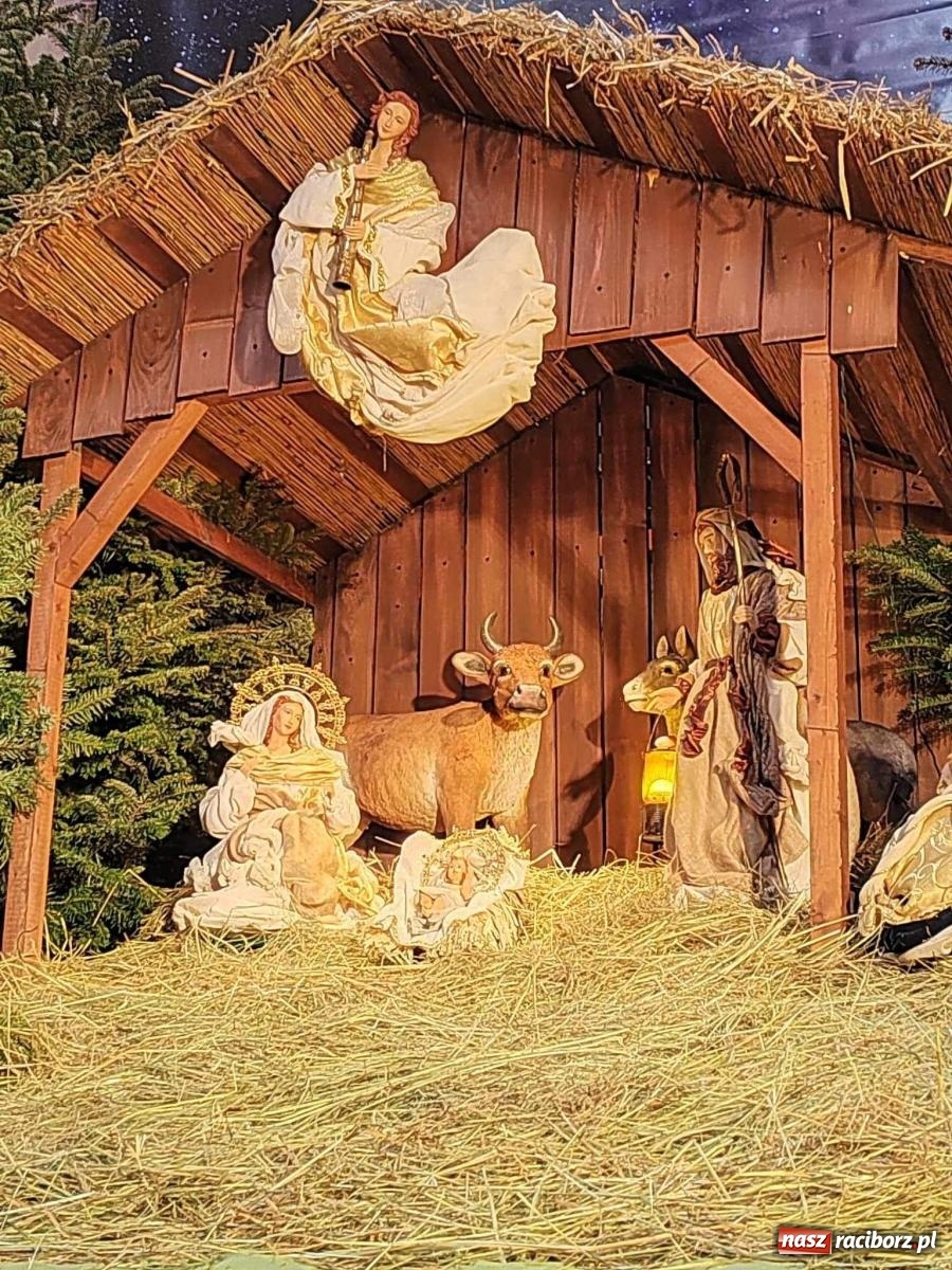 Zdjęcie w galerii na portalu naszraciborz.pl: Zaprośmy na nowo Jezusa w swoje życie. Zdjęcia raciborskich szopek wiadomości z regionu