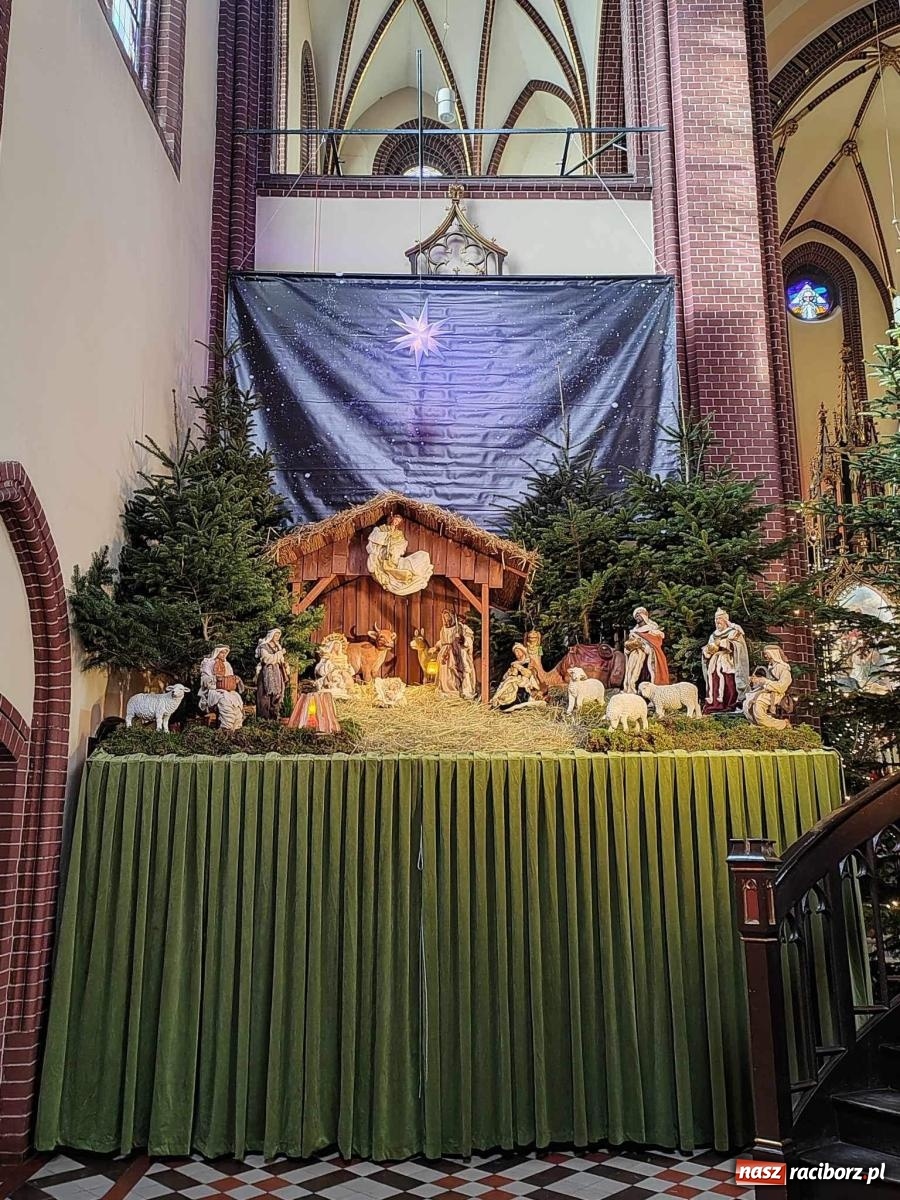 Zdjęcie w galerii na portalu naszraciborz.pl: Zaprośmy na nowo Jezusa w swoje życie. Zdjęcia raciborskich szopek wiadomości z regionu