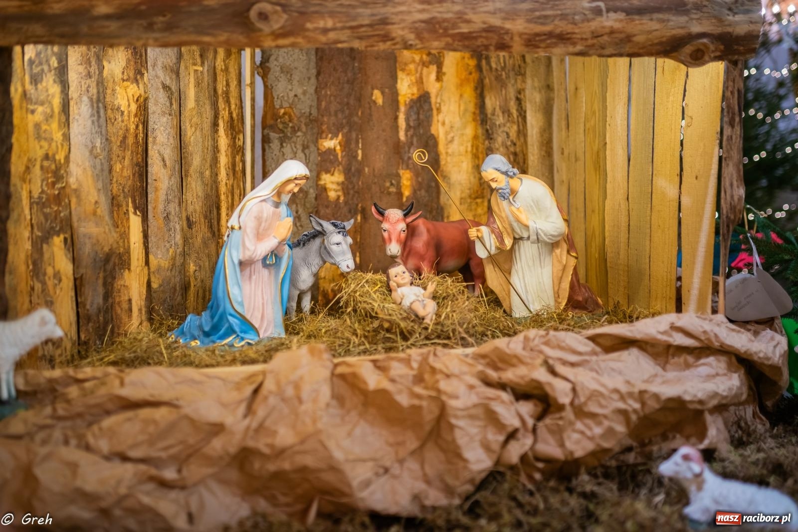 Zdjęcie w galerii na portalu naszraciborz.pl: Zaprośmy na nowo Jezusa w swoje życie. Zdjęcia raciborskich szopek wiadomości z regionu