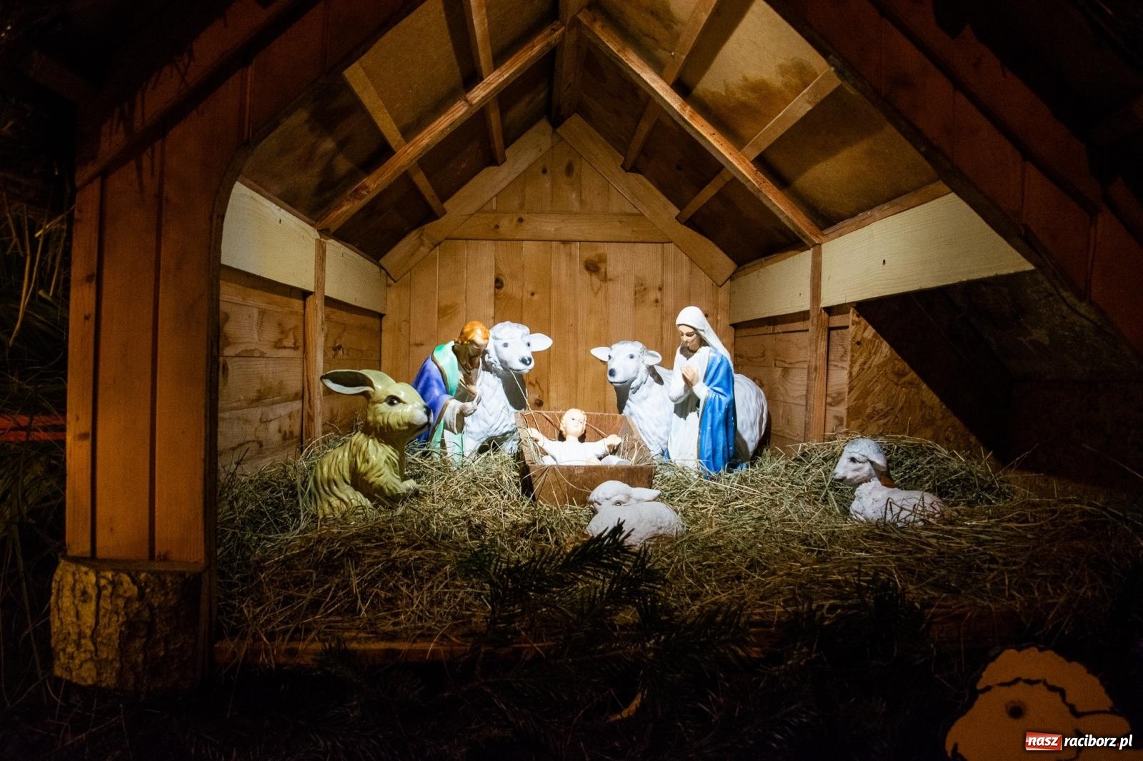 Zdjęcie w galerii na portalu naszraciborz.pl: Świetlne sanie i laserowe show. Bajkowa Nowa Wioska zaprasza [FOTO i WIDEO] wiadomości z regionu