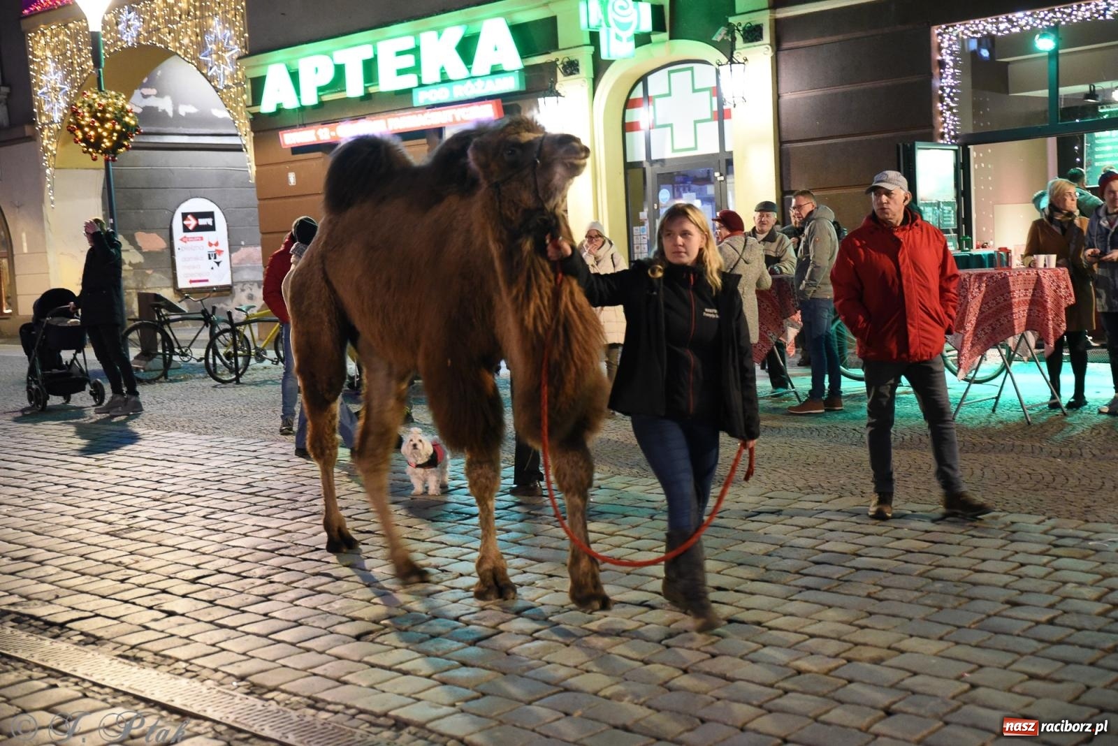 Zdjęcie w galerii na portalu naszraciborz.pl: Żywa szopka i wspólne kolędowanie na raciborskim Rynku wiadomości z regionu