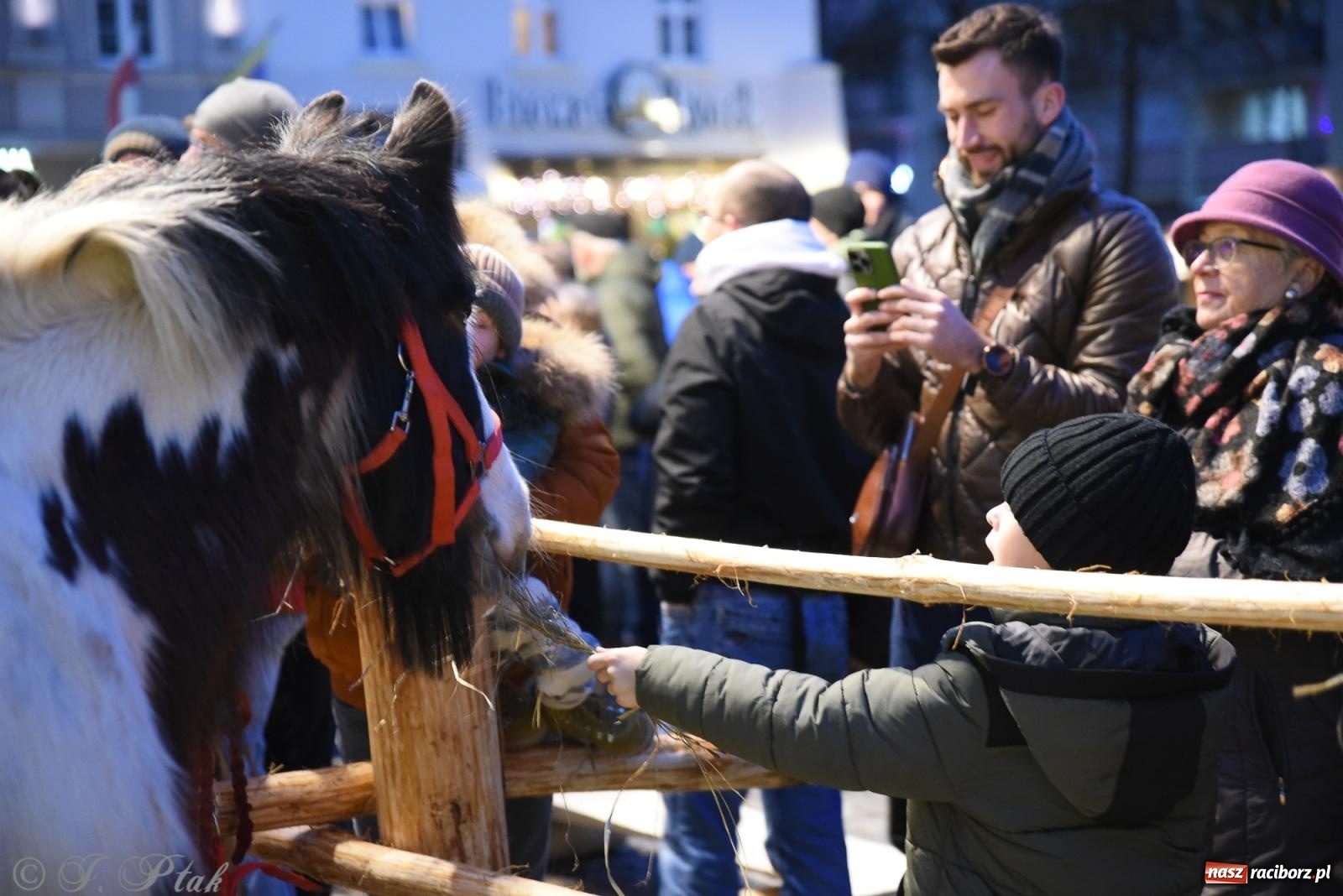 Zdjęcie w galerii na portalu naszraciborz.pl: Żywa szopka i wspólne kolędowanie na raciborskim Rynku wiadomości z regionu