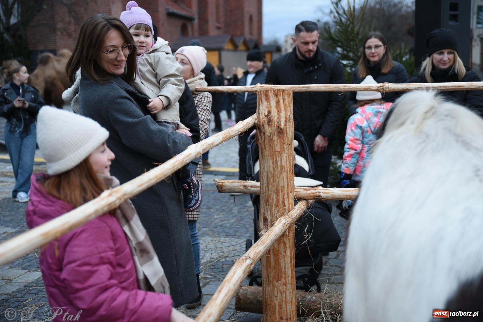 Zdjęcie w galerii na portalu naszraciborz.pl: Żywa szopka i wspólne kolędowanie na raciborskim Rynku wiadomości z regionu