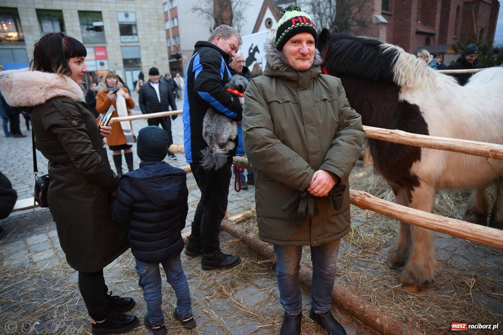 Zdjęcie w galerii na portalu naszraciborz.pl: Żywa szopka i wspólne kolędowanie na raciborskim Rynku wiadomości z regionu