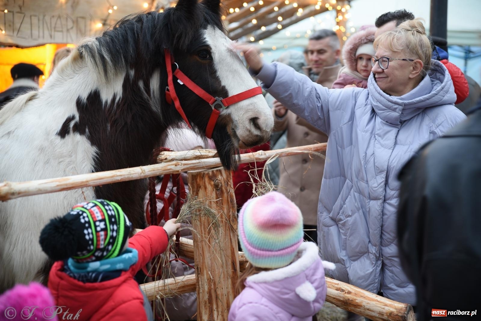 Zdjęcie w galerii na portalu naszraciborz.pl: Żywa szopka i wspólne kolędowanie na raciborskim Rynku wiadomości z regionu