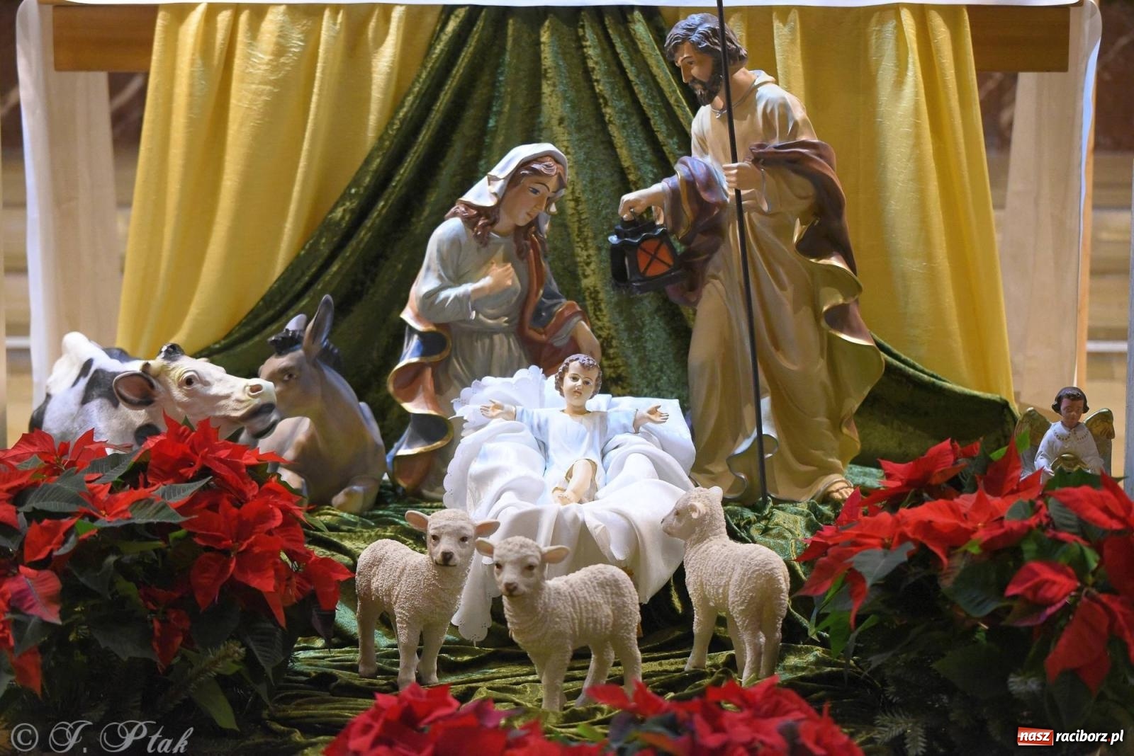 Zdjęcie w galerii na portalu naszraciborz.pl: Raciborski wieczór kolęd i pastorałek tym razem na Ocicach [FOTO i WIDEO] wiadomości z regionu