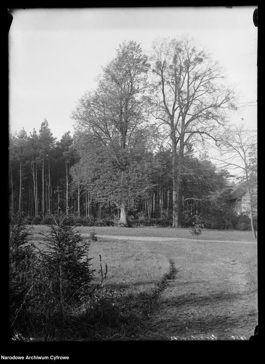 Zdjęcie w galerii na portalu naszraciborz.pl: Archiwalne przedwojenne zdjęcia Górnego Śląska. NAC próbuje ustalić, co pokazują [FOTO] wiadomości z regionu