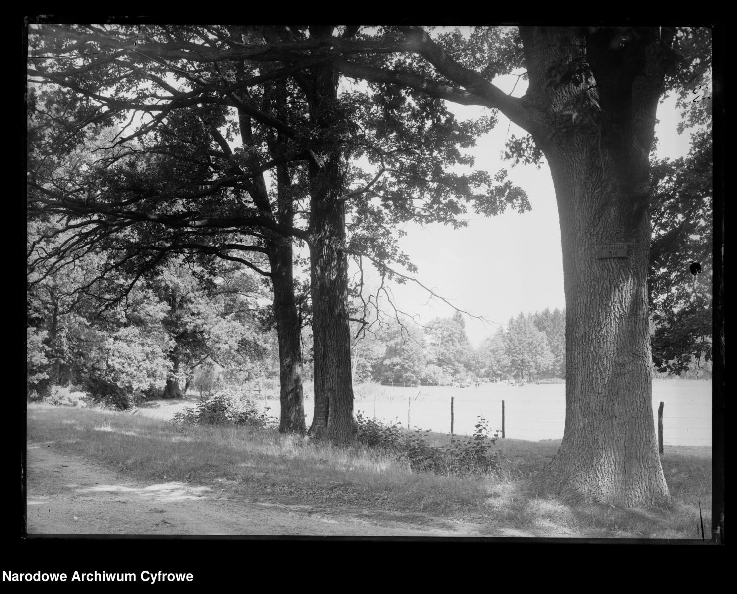 Zdjęcie w galerii na portalu naszraciborz.pl: Archiwalne przedwojenne zdjęcia Górnego Śląska. NAC próbuje ustalić, co pokazują [FOTO] wiadomości z regionu