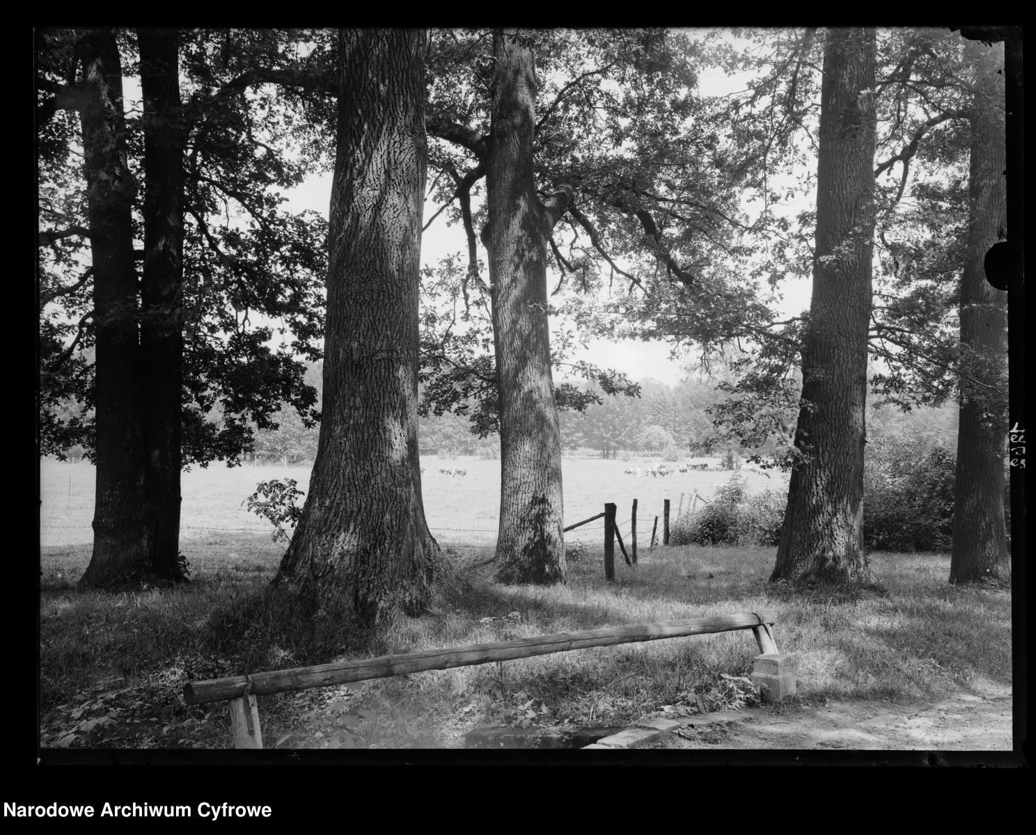 Zdjęcie w galerii na portalu naszraciborz.pl: Archiwalne przedwojenne zdjęcia Górnego Śląska. NAC próbuje ustalić, co pokazują [FOTO] wiadomości z regionu