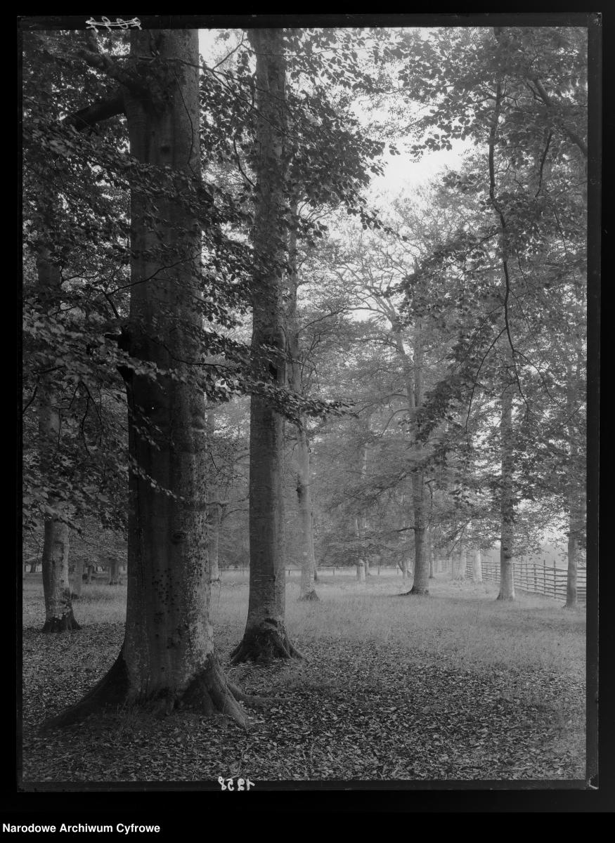 Zdjęcie w galerii na portalu naszraciborz.pl: Archiwalne przedwojenne zdjęcia Górnego Śląska. NAC próbuje ustalić, co pokazują [FOTO] wiadomości z regionu