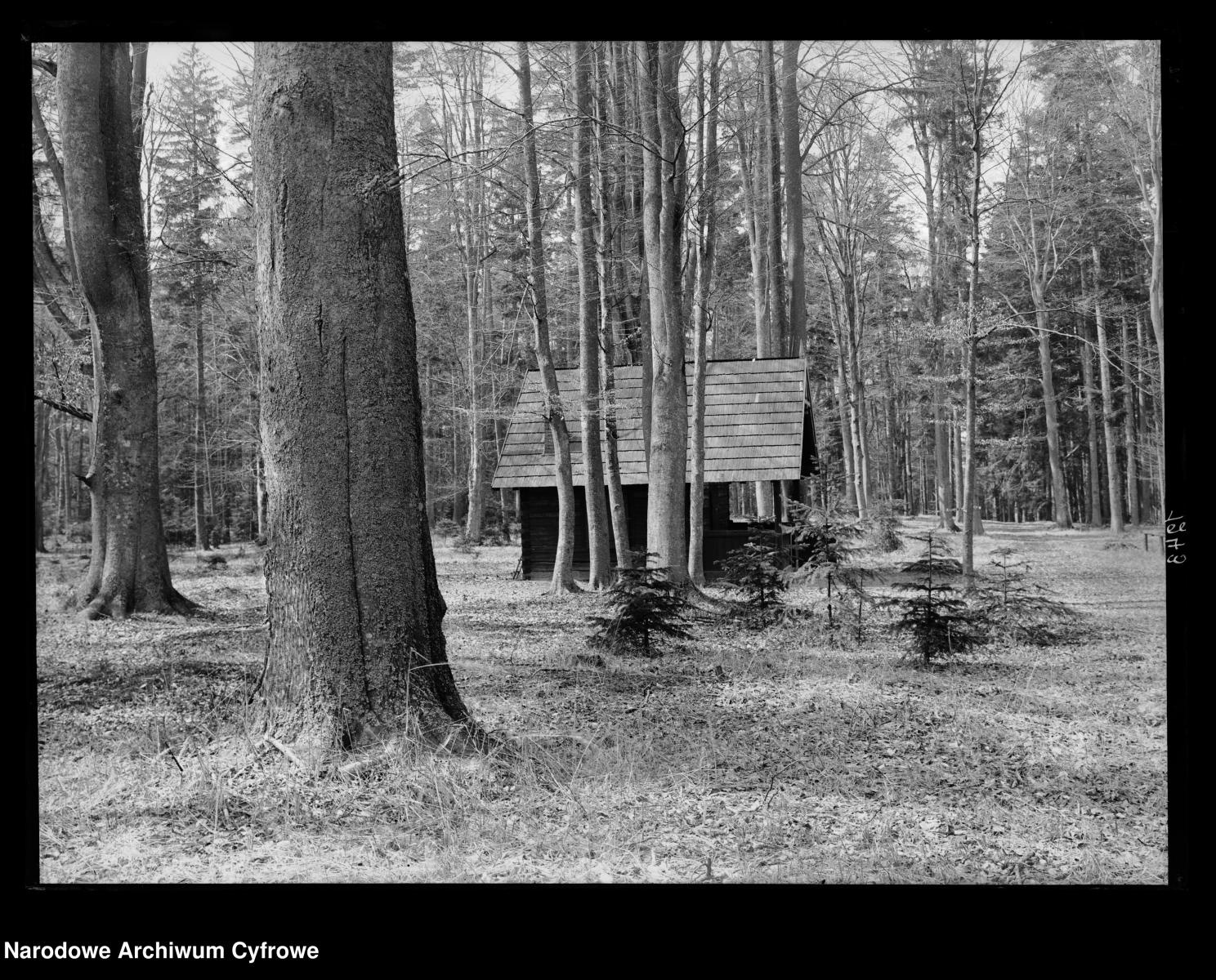 Zdjęcie w galerii na portalu naszraciborz.pl: Archiwalne przedwojenne zdjęcia Górnego Śląska. NAC próbuje ustalić, co pokazują [FOTO] wiadomości z regionu