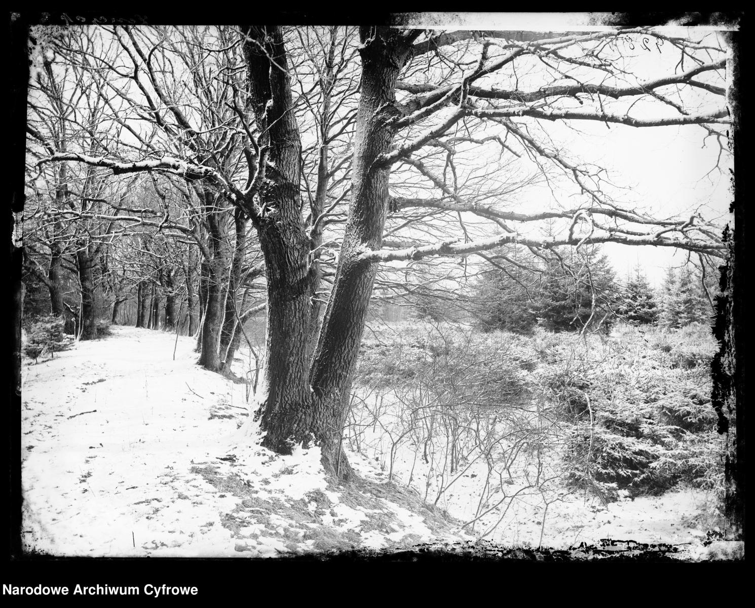 Zdjęcie w galerii na portalu naszraciborz.pl: Archiwalne przedwojenne zdjęcia Górnego Śląska. NAC próbuje ustalić, co pokazują [FOTO] wiadomości z regionu