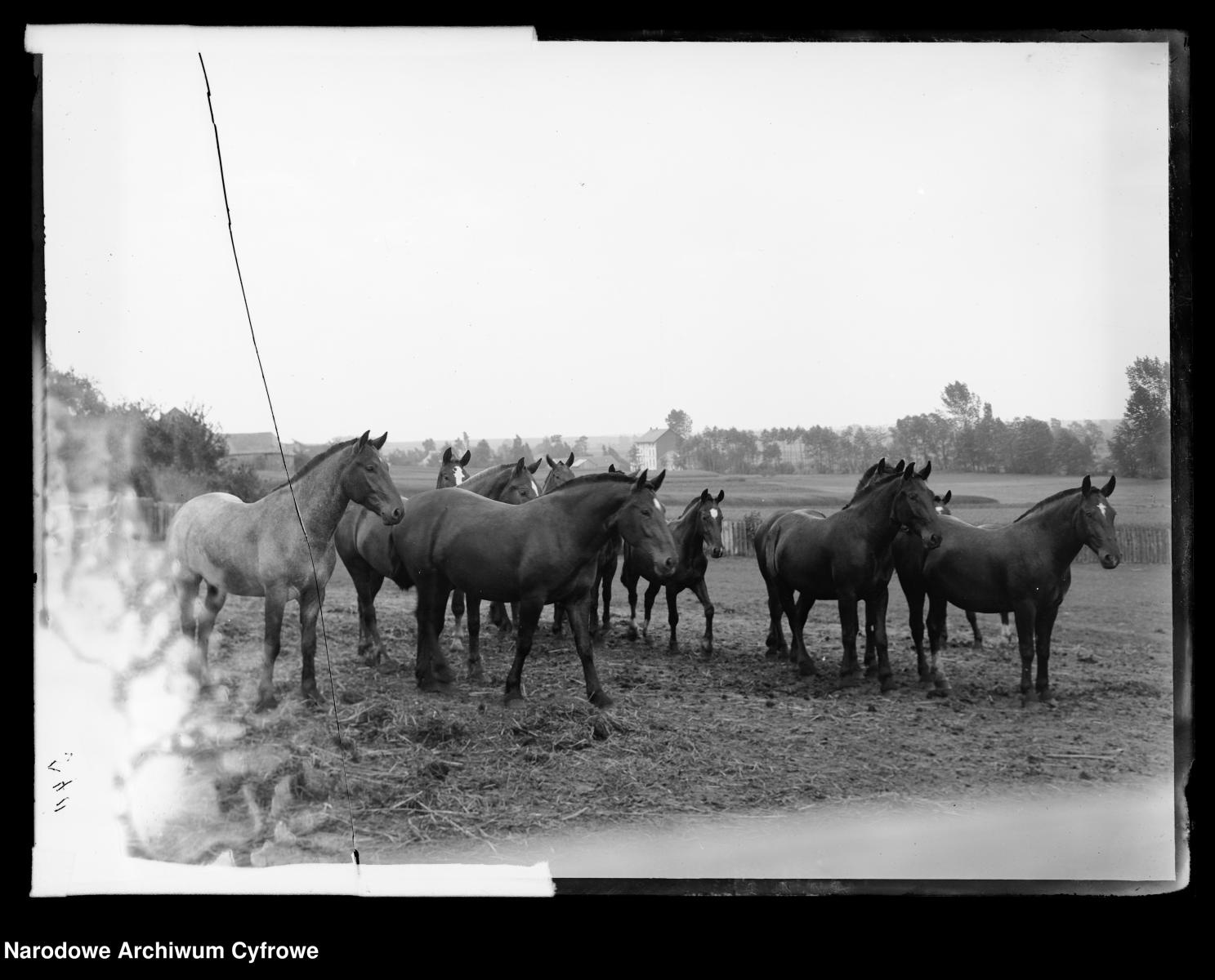 Zdjęcie w galerii na portalu naszraciborz.pl: Archiwalne przedwojenne zdjęcia Górnego Śląska. NAC próbuje ustalić, co pokazują [FOTO] wiadomości z regionu