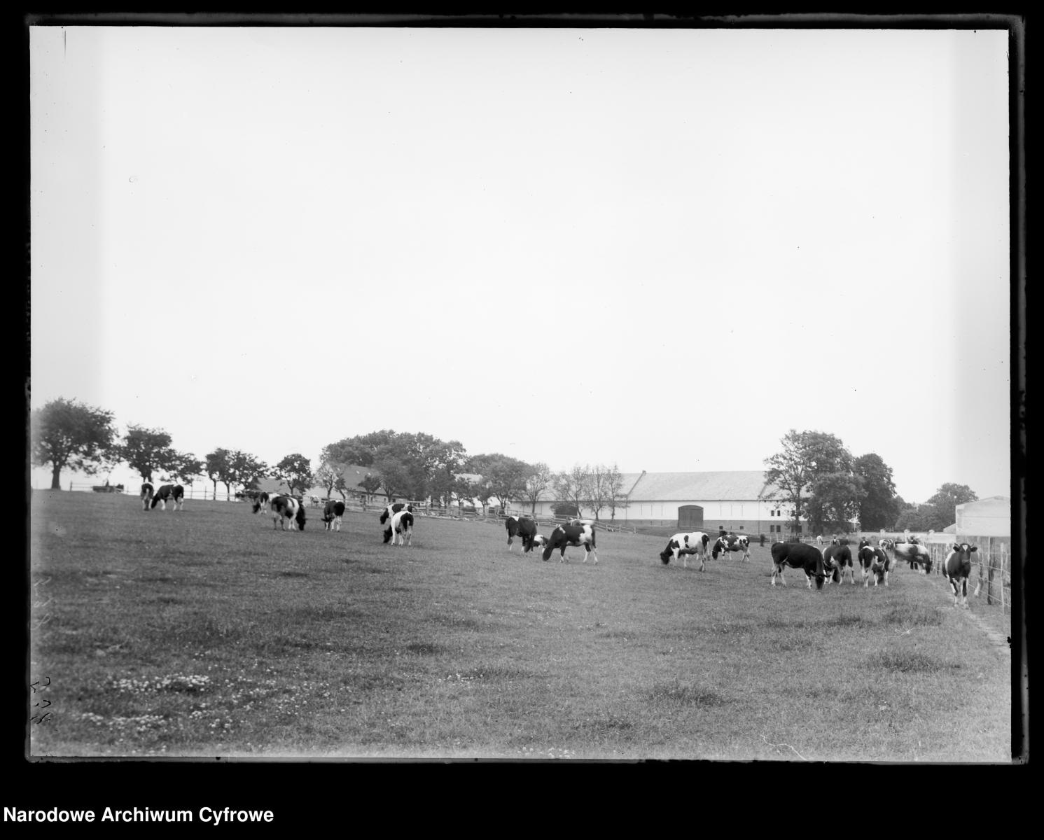 Zdjęcie w galerii na portalu naszraciborz.pl: Archiwalne przedwojenne zdjęcia Górnego Śląska. NAC próbuje ustalić, co pokazują [FOTO] wiadomości z regionu
