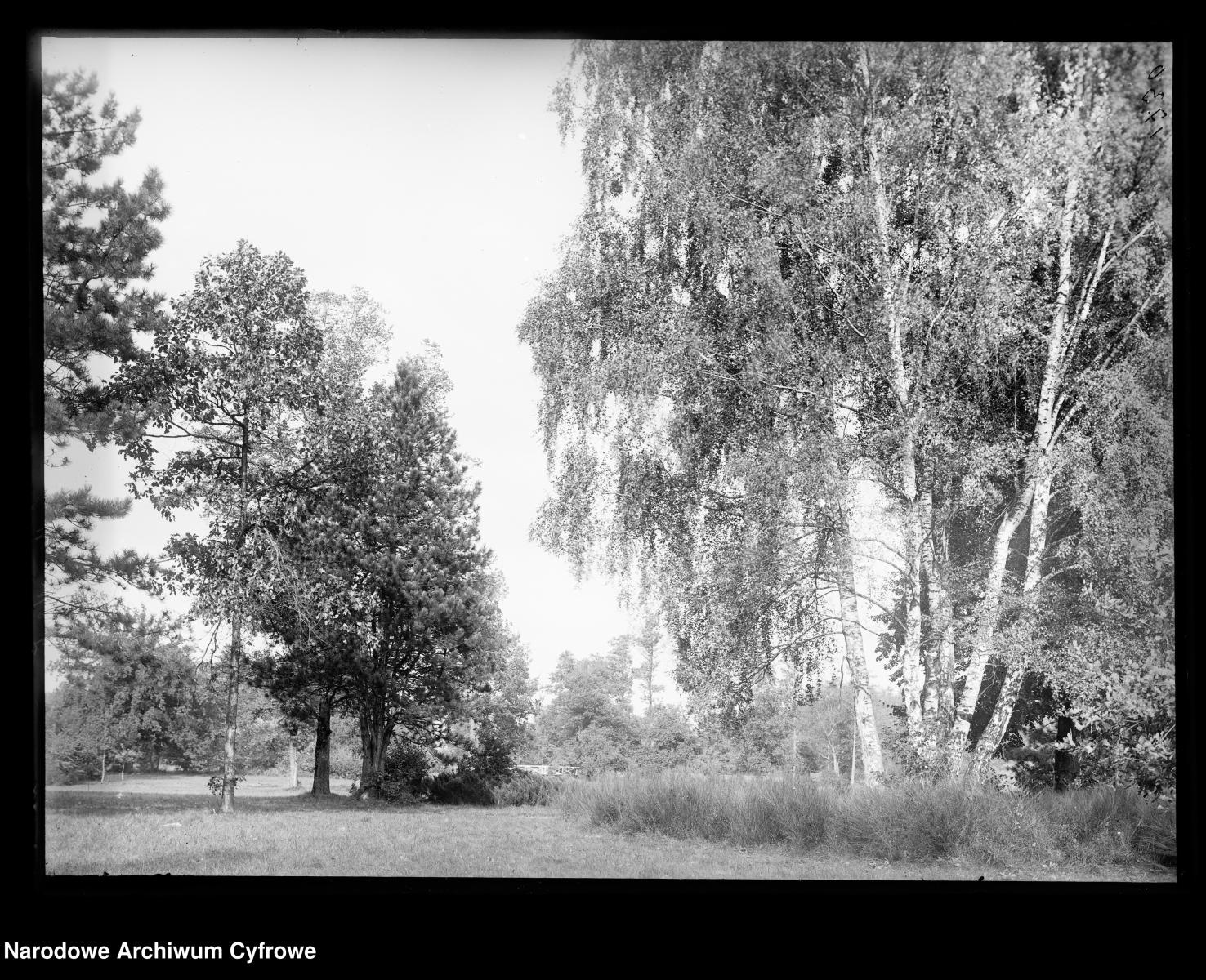Zdjęcie w galerii na portalu naszraciborz.pl: Archiwalne przedwojenne zdjęcia Górnego Śląska. NAC próbuje ustalić, co pokazują [FOTO] wiadomości z regionu