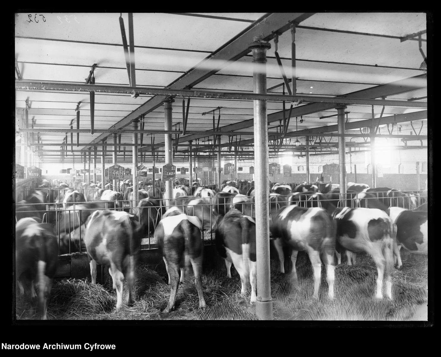 Zdjęcie w galerii na portalu naszraciborz.pl: Archiwalne przedwojenne zdjęcia Górnego Śląska. NAC próbuje ustalić, co pokazują [FOTO] wiadomości z regionu