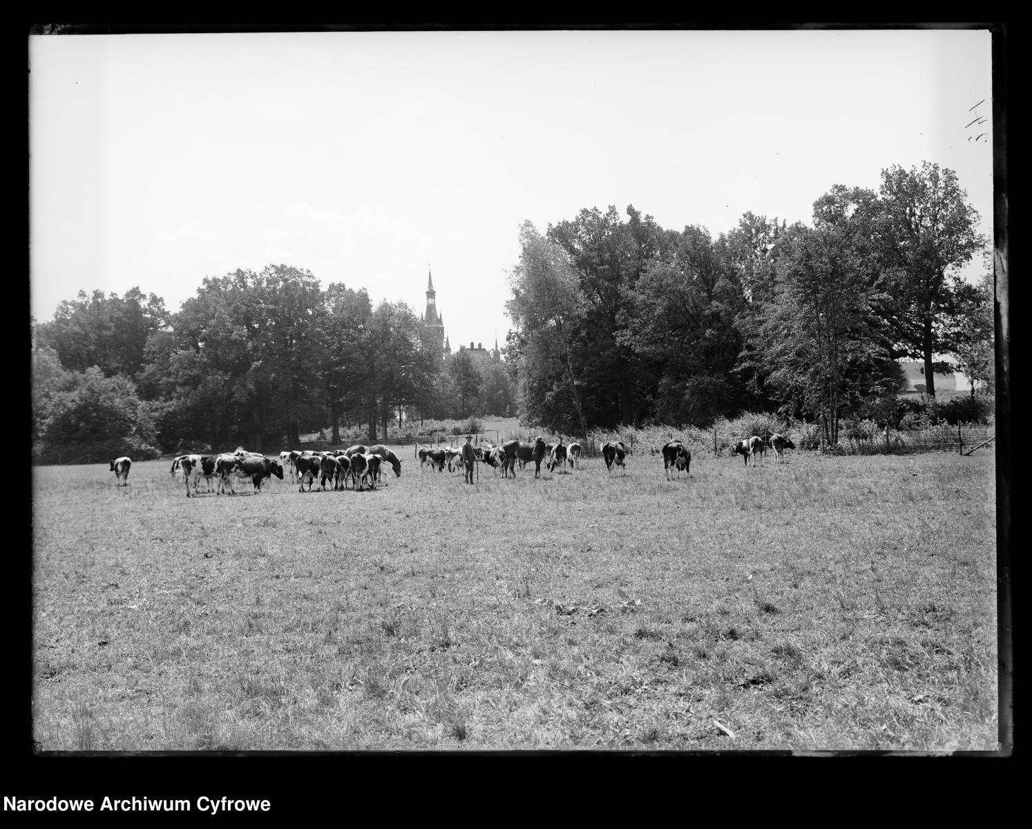 Zdjęcie w galerii na portalu naszraciborz.pl: Archiwalne przedwojenne zdjęcia Górnego Śląska. NAC próbuje ustalić, co pokazują [FOTO] wiadomości z regionu