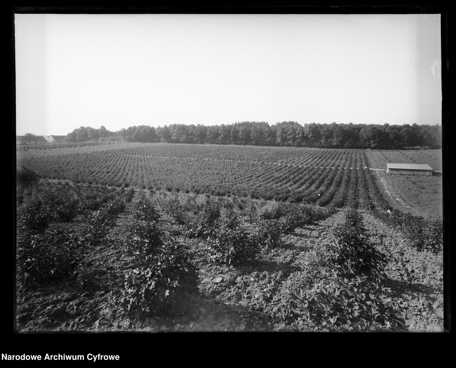 Zdjęcie w galerii na portalu naszraciborz.pl: Archiwalne przedwojenne zdjęcia Górnego Śląska. NAC próbuje ustalić, co pokazują [FOTO] wiadomości z regionu