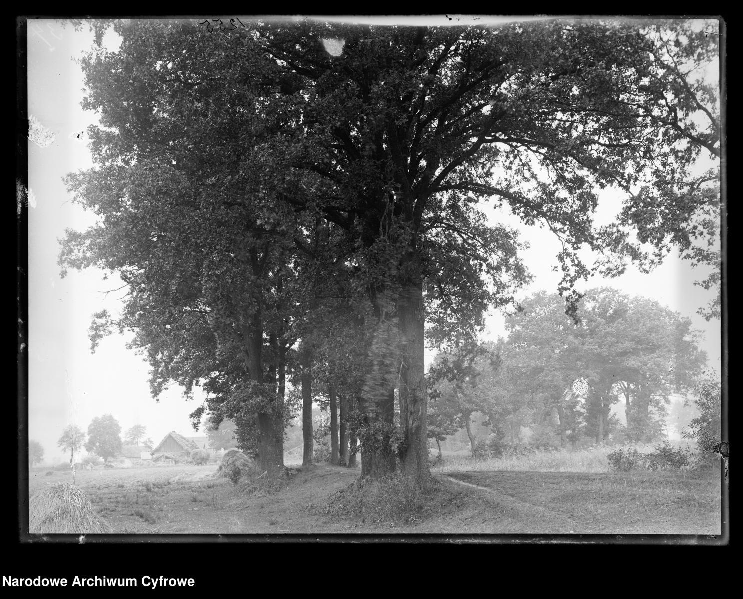 Zdjęcie w galerii na portalu naszraciborz.pl: Archiwalne przedwojenne zdjęcia Górnego Śląska. NAC próbuje ustalić, co pokazują [FOTO] wiadomości z regionu