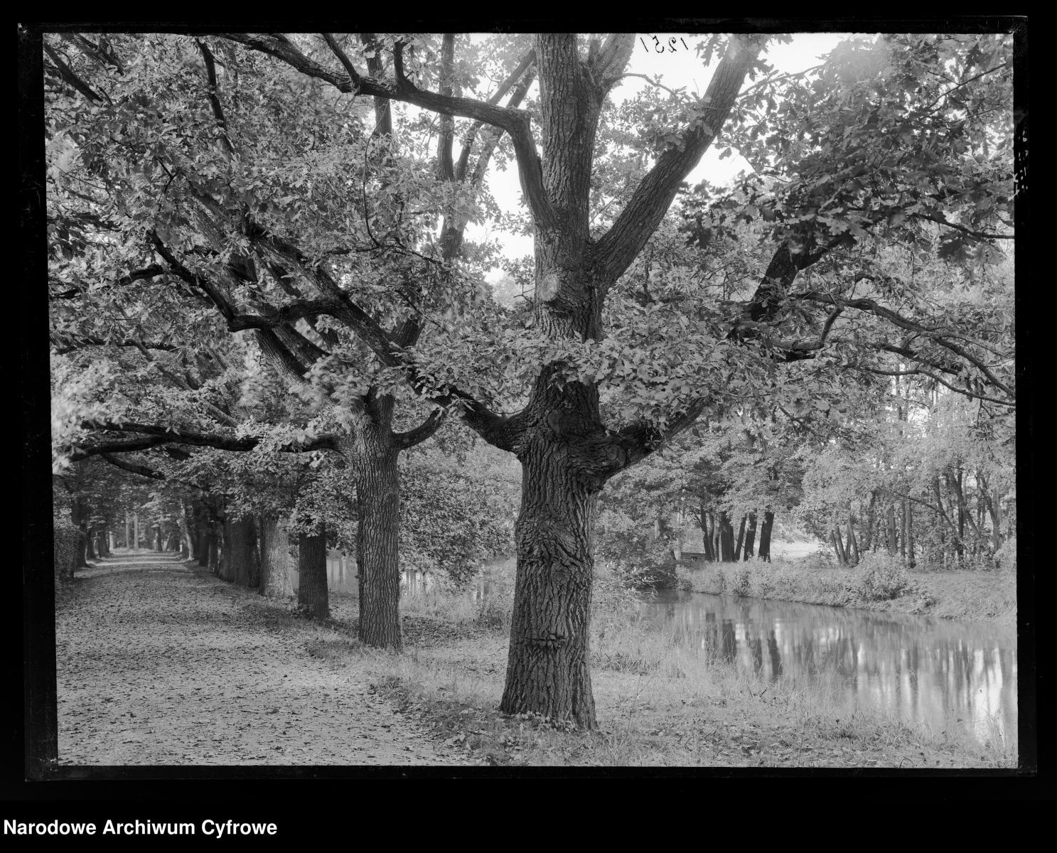 Zdjęcie w galerii na portalu naszraciborz.pl: Archiwalne przedwojenne zdjęcia Górnego Śląska. NAC próbuje ustalić, co pokazują [FOTO] wiadomości z regionu