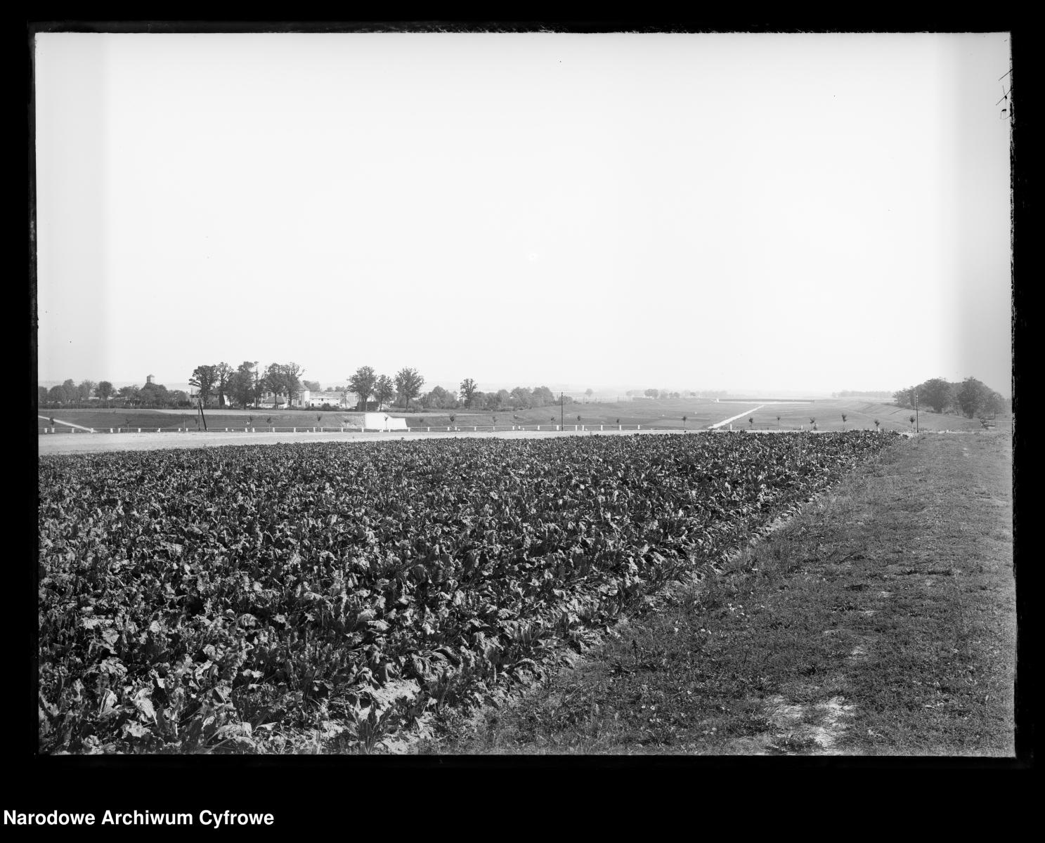Zdjęcie w galerii na portalu naszraciborz.pl: Archiwalne przedwojenne zdjęcia Górnego Śląska. NAC próbuje ustalić, co pokazują [FOTO] wiadomości z regionu