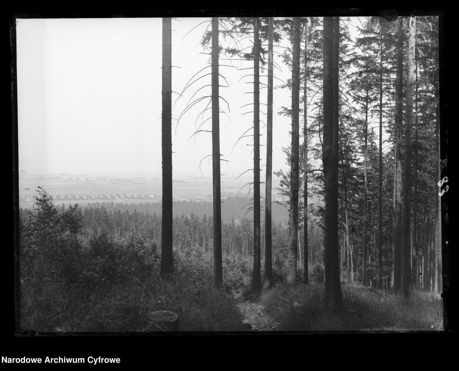 Zdjęcie w galerii na portalu naszraciborz.pl: Archiwalne przedwojenne zdjęcia Górnego Śląska. NAC próbuje ustalić, co pokazują [FOTO] wiadomości z regionu