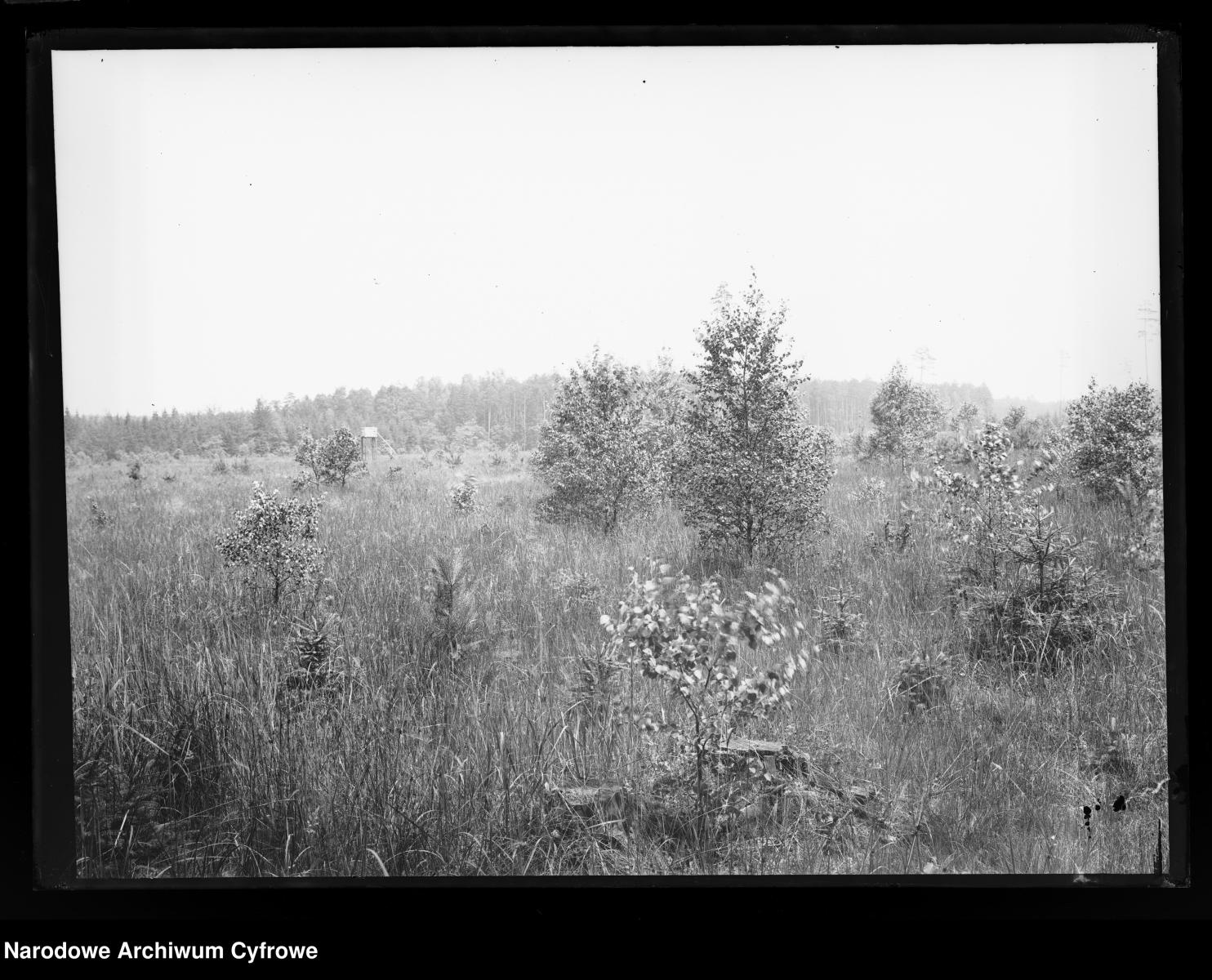 Zdjęcie w galerii na portalu naszraciborz.pl: Archiwalne przedwojenne zdjęcia Górnego Śląska. NAC próbuje ustalić, co pokazują [FOTO] wiadomości z regionu