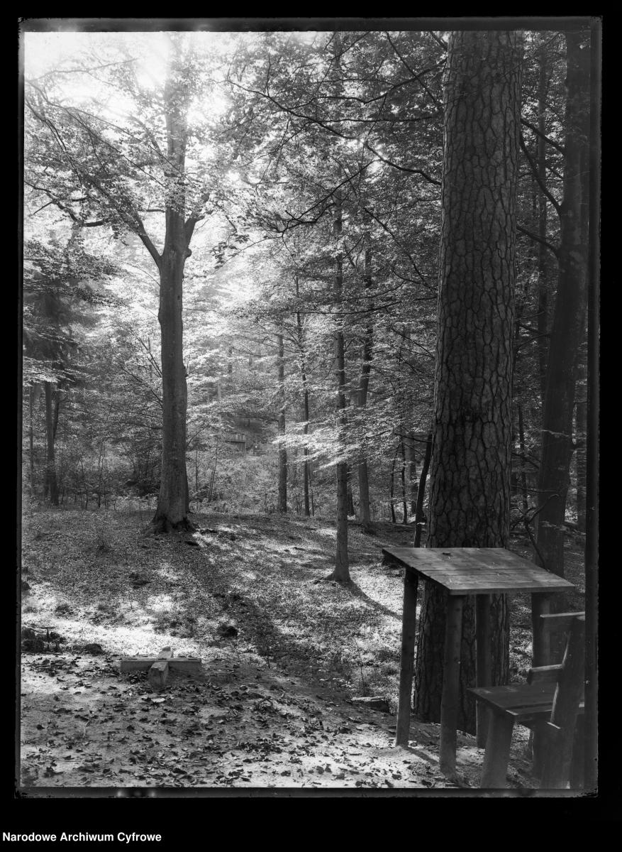 Zdjęcie w galerii na portalu naszraciborz.pl: Archiwalne przedwojenne zdjęcia Górnego Śląska. NAC próbuje ustalić, co pokazują [FOTO] wiadomości z regionu
