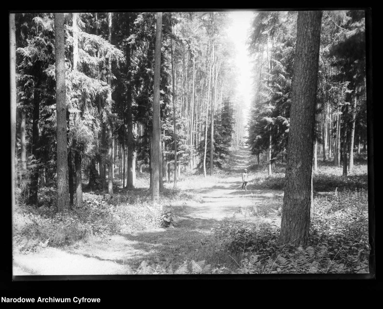 Zdjęcie w galerii na portalu naszraciborz.pl: Archiwalne przedwojenne zdjęcia Górnego Śląska. NAC próbuje ustalić, co pokazują [FOTO] wiadomości z regionu