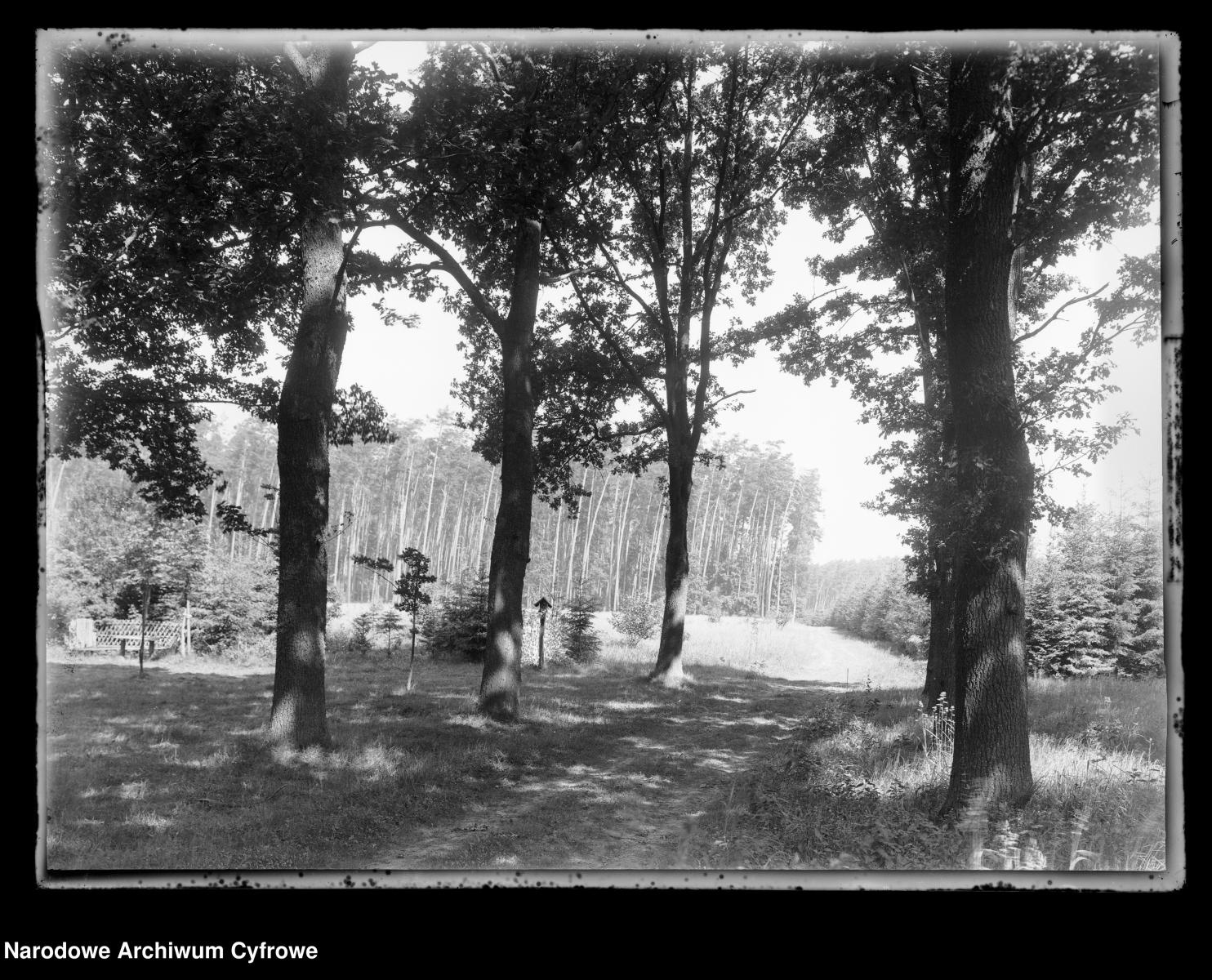 Zdjęcie w galerii na portalu naszraciborz.pl: Archiwalne przedwojenne zdjęcia Górnego Śląska. NAC próbuje ustalić, co pokazują [FOTO] wiadomości z regionu
