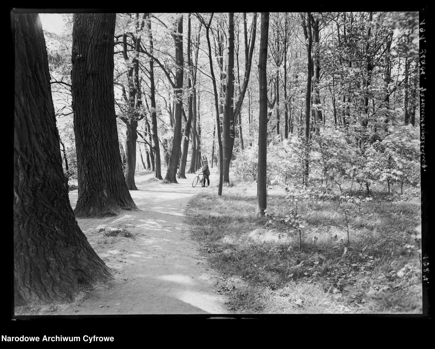 Zdjęcie w galerii na portalu naszraciborz.pl: Archiwalne przedwojenne zdjęcia Górnego Śląska. NAC próbuje ustalić, co pokazują [FOTO] wiadomości z regionu
