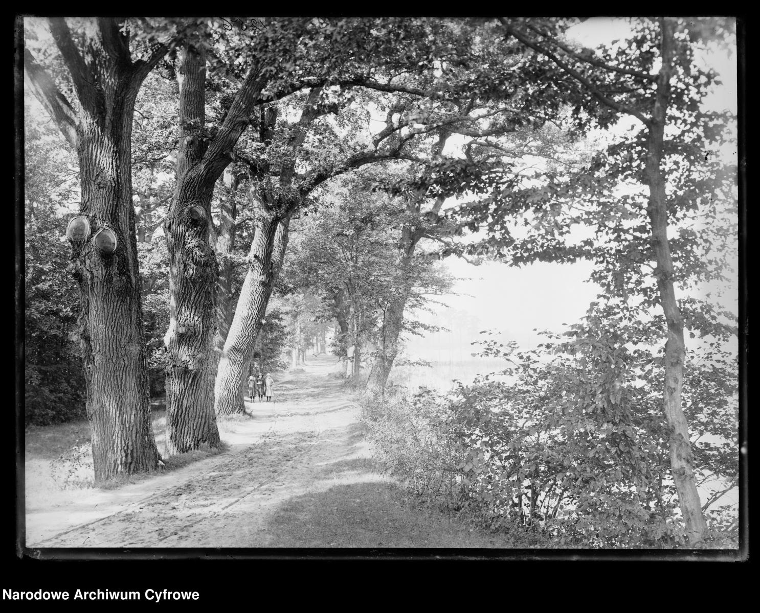 Zdjęcie w galerii na portalu naszraciborz.pl: Archiwalne przedwojenne zdjęcia Górnego Śląska. NAC próbuje ustalić, co pokazują [FOTO] wiadomości z regionu