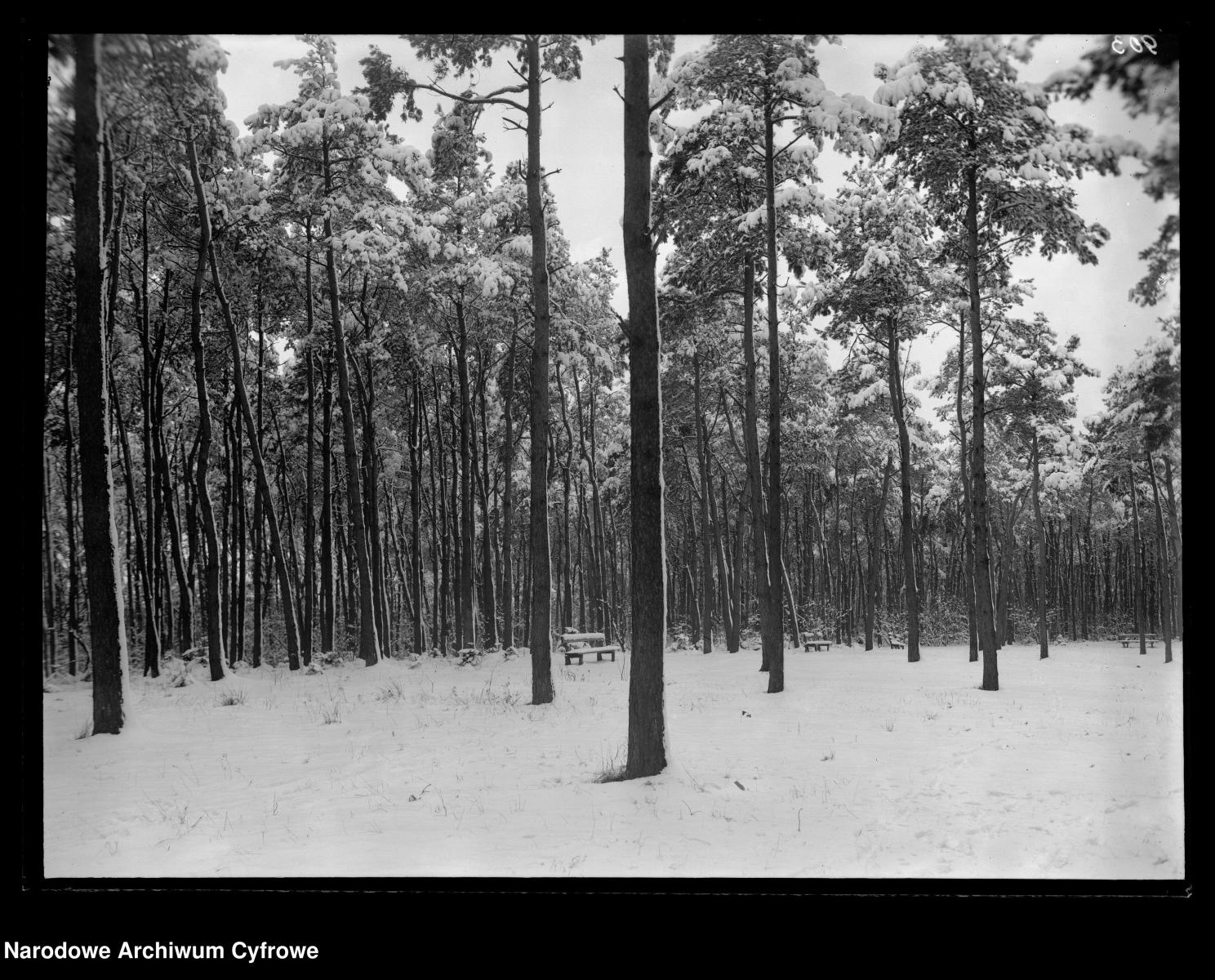 Zdjęcie w galerii na portalu naszraciborz.pl: Archiwalne przedwojenne zdjęcia Górnego Śląska. NAC próbuje ustalić, co pokazują [FOTO] wiadomości z regionu