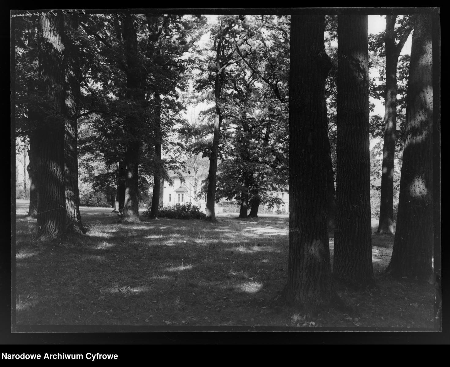 Zdjęcie w galerii na portalu naszraciborz.pl: Archiwalne przedwojenne zdjęcia Górnego Śląska. NAC próbuje ustalić, co pokazują [FOTO] wiadomości z regionu