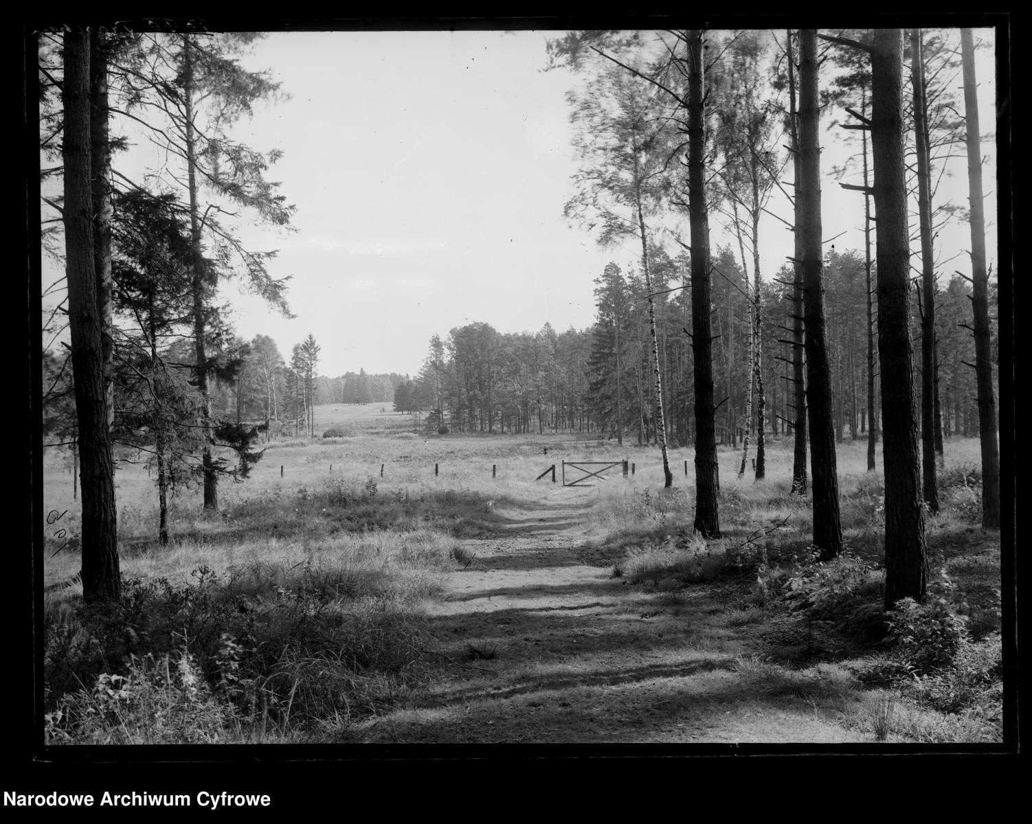 Zdjęcie w galerii na portalu naszraciborz.pl: Archiwalne przedwojenne zdjęcia Górnego Śląska. NAC próbuje ustalić, co pokazują [FOTO] wiadomości z regionu
