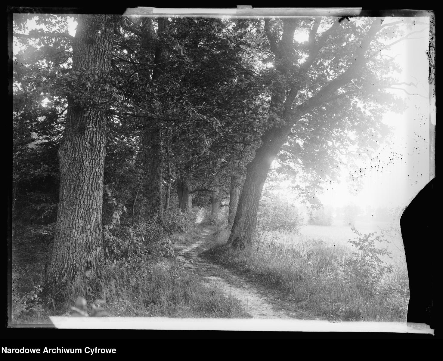 Zdjęcie w galerii na portalu naszraciborz.pl: Archiwalne przedwojenne zdjęcia Górnego Śląska. NAC próbuje ustalić, co pokazują [FOTO] wiadomości z regionu